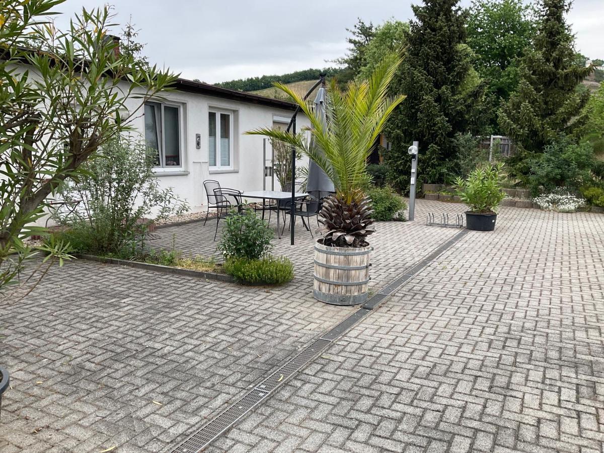 Ferienwohnung Mitko Radebeul Buitenkant foto